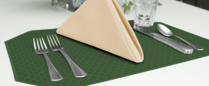 Lattice-ForestGreen-BermudaSand-300x124 Lattice ForestGreen-BermudaSand  